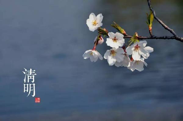 2016清明節放假通知